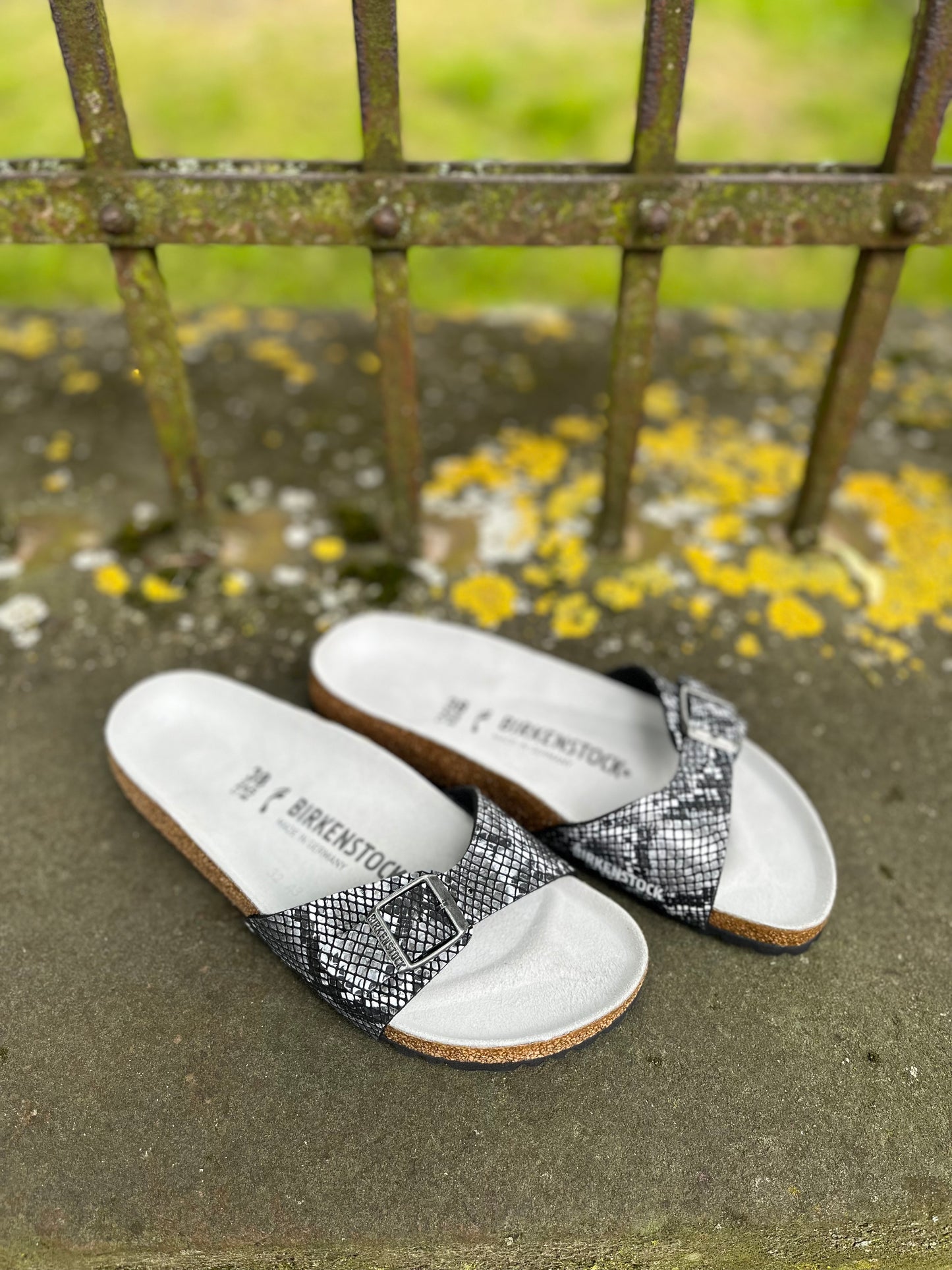 Birkenstock Madrid Python