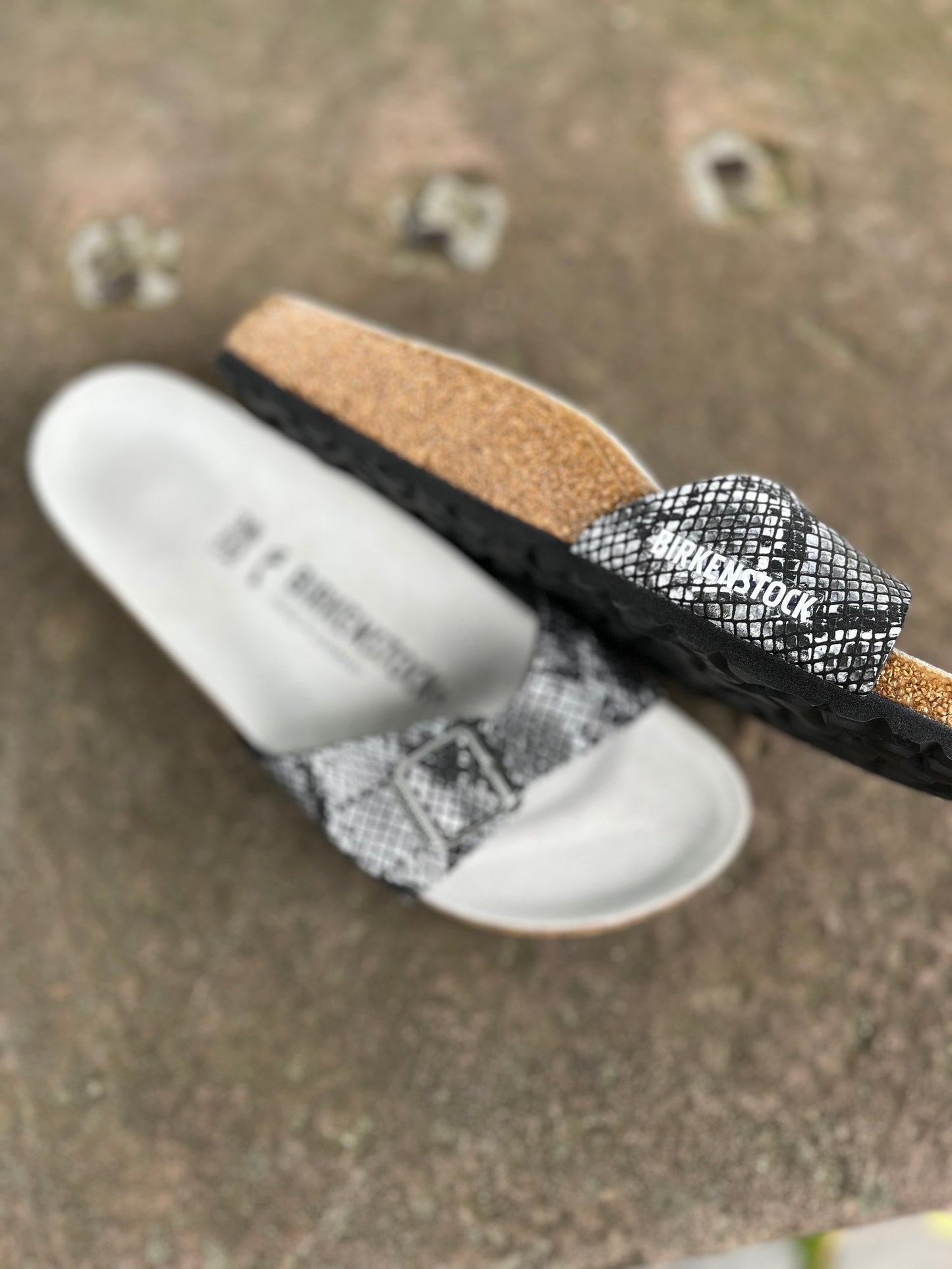 Birkenstock Madrid Python