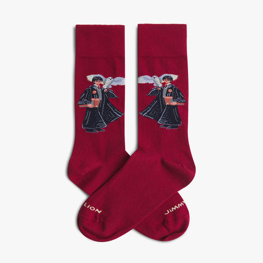 Harry Potter The Boy Who Lived Socken