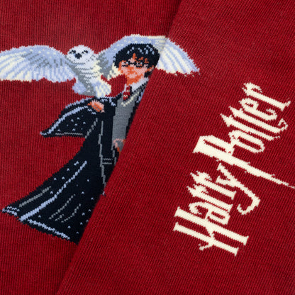Harry Potter The Boy Who Lived Socken