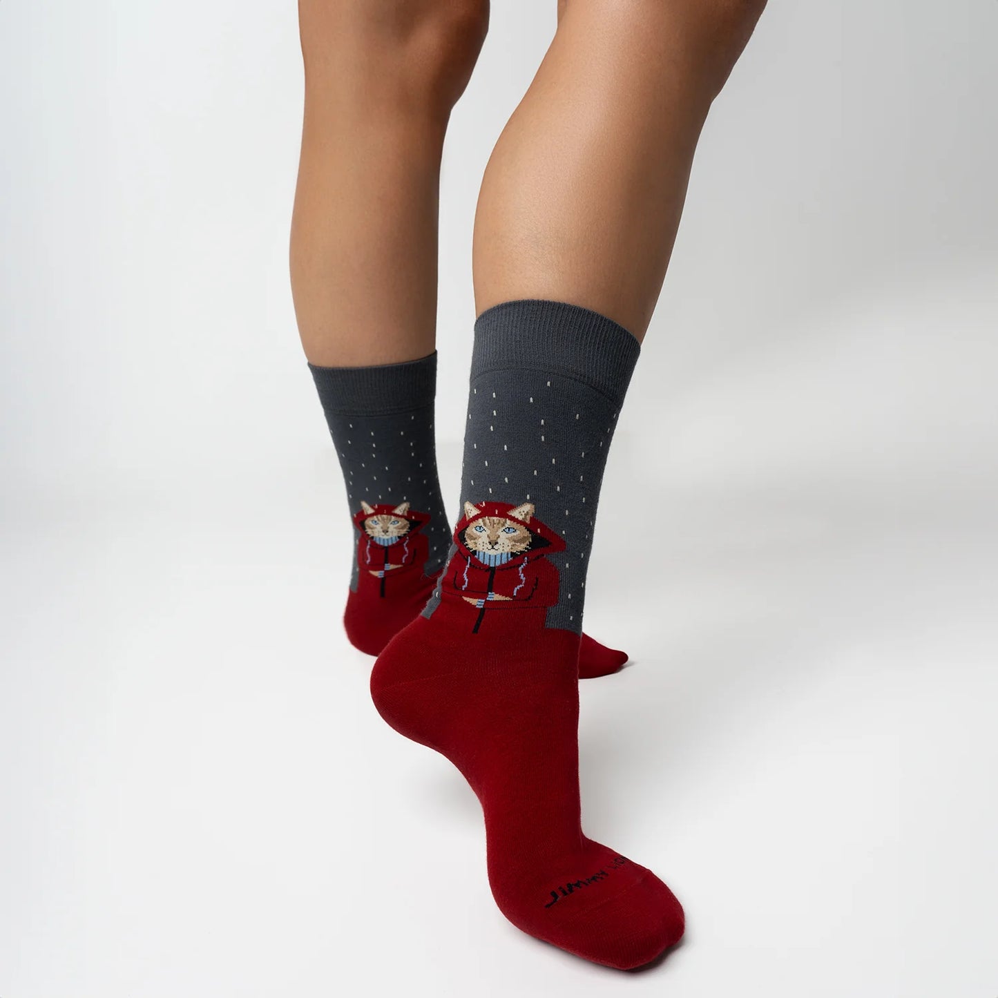 Jimmy Lion Raining Cat