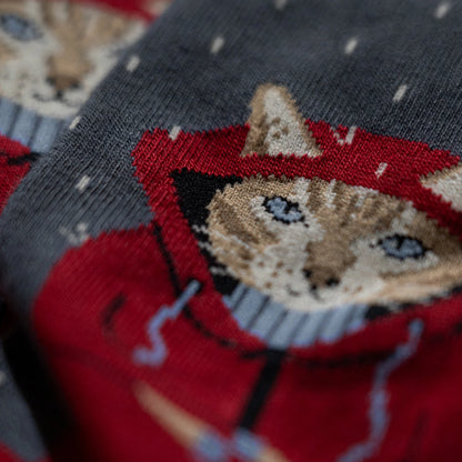 Jimmy Lion Raining Cat