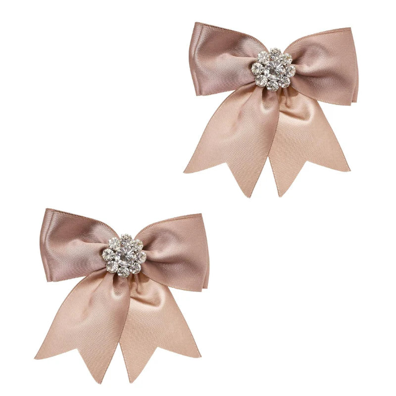 Schleifen Schuhclips Paris